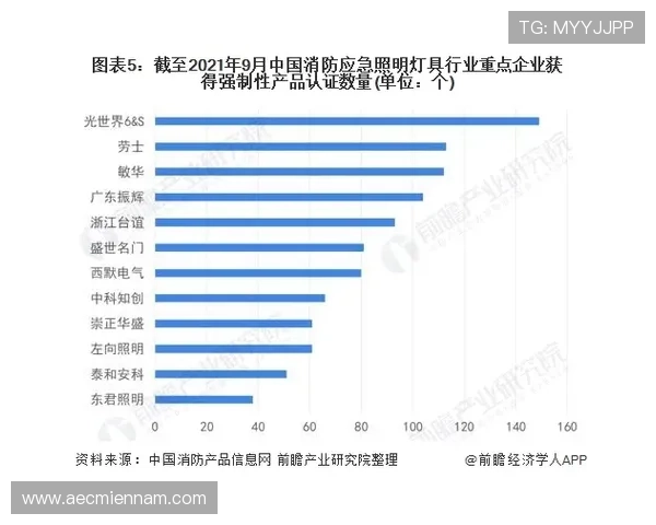 解读ag亚游国际市场的当前竞争格局与应对措施
