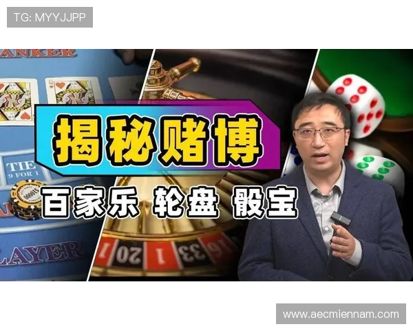 从基础到高级的百家乐技巧全面提升你的游戏水平